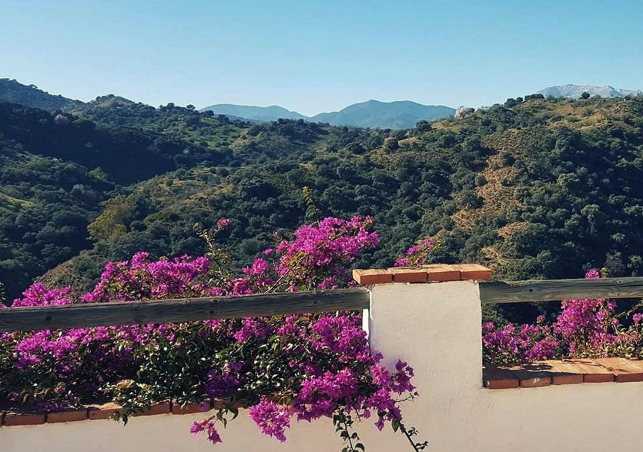 Corazon Andaluz Guesthouse Coín Esterno foto